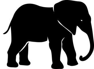 Obraz premium elephant