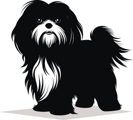 silhouette shih tzu dog