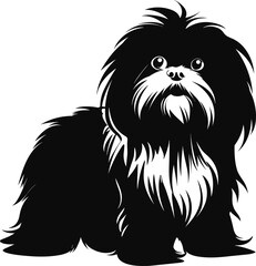 silhouette shih tzu dog
