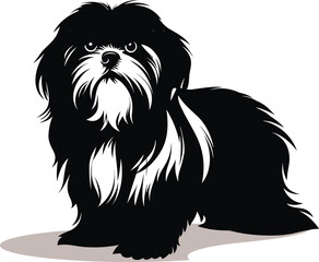 silhouette shih tzu dog