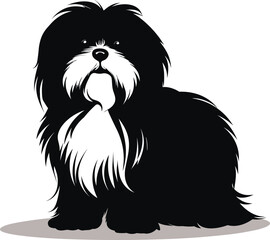 silhouette shih tzu dog