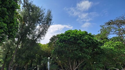 Sunny Day In East Coast Park, Singapore.