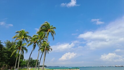 Naklejka premium Sunny Day In East Coast Park, Singapore.