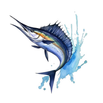 recommend clip art: A blue marlin fish, sword fish jumping up, watercolor art