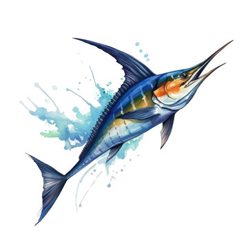 recommend clip art: A blue marlin fish, sword fish jumping up, watercolor art