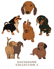Dachshund Weiner Dog Illustration - In Color - Many Poses - Collection 2