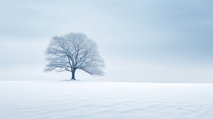 Fototapeta na wymiar a lone tree stands alone in a snowy landscape with a blue sky. generative ai
