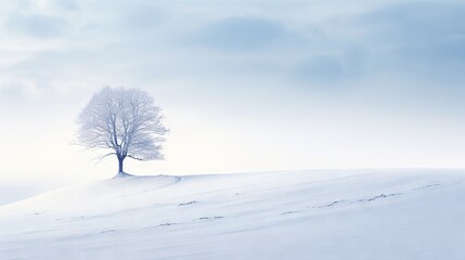 Fototapeta na wymiar a lone tree stands alone in a snowy field with a sky background. generative ai