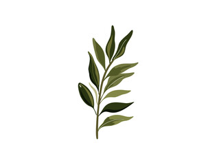 Green olive branch, vector illustration