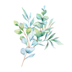 Eucalyptus Watercolor Illustration. Eucalyptus Greenery Hand Painted isolated on white background.  Perfect for wedding invitations, floral labels, bridal shower and  floral greeting cards