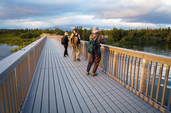 Tourists taking photos on the bridge over Brooks River. Katmai National Park. Alaska. USA.