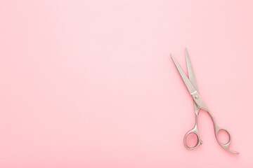 New professional hair scissors on light pink table background. Pastel color. Closeup. Empty place for text. Top down view.