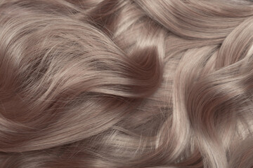 Blond hair close-up as a background. Women's long light brown hair. Beautifully styled wavy shiny curls. Hair coloring. Hairdressing procedures, extension.