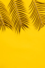 Top View of Tropical Palm Leaves Shadow and Straws on Bright Yellow Background: A Minimalistic Vertical Summer Vacation Concept Flat Lay with Creative Copy Space