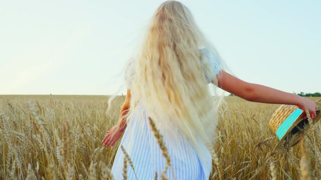 Blonde girl with blue eyes in a wheat field