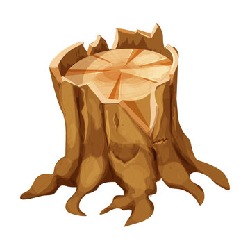 Wooden stump forest tree trunk with roots, cut section in cartoon style isolated. Plant detailed. 