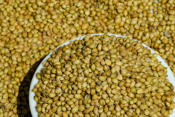 A heap of dry coriander seeds in a bowl surrounded by more coriander seeds
