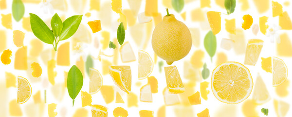Lemon Slice and Leaf Abstract