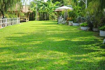 Green Park Garden in Thailand - Outdoor Filed 