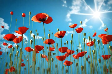 Obraz premium poppies in the sky