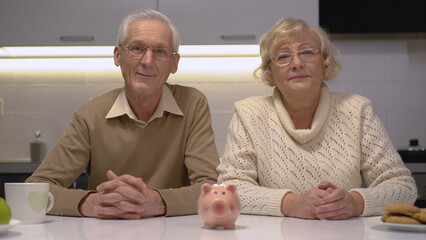 Mature husband and wife looking at the camera with a piggy bank standing on the table, signifying their bank deposit - obrazy, fototapety, plakaty