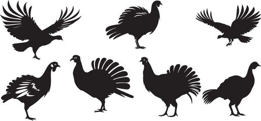 Vector illustration of a Thanksgiving turkey and and Wildlife Designs