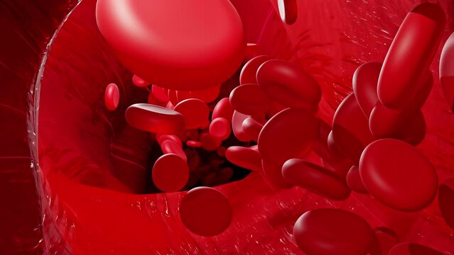 Blood vessels which red objects or molecules move. Animation Seamless loop. Science and medicine concept or Abstract background. 3D Render.