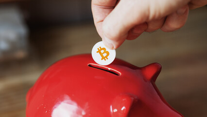 A saver puts a bitcoin in his piggy bank. A holder accumulates btc coin during the bear market.  - obrazy, fototapety, plakaty