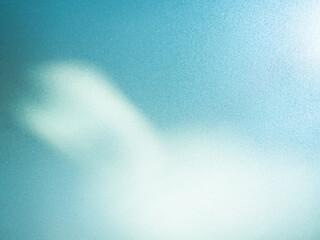 Shadow Leaf Background Abstract Blue Leavse Tree Summer Tropic Plant Overlay White Light Flower Nature Branch Foliage Floor Rose Wall Shade Sunlight from Window Minimal Mockup Template Platform.