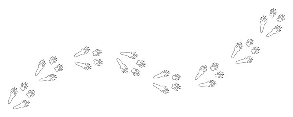Rabbit or hare tracks in the snow. Path paw footprints of Rabbit, hare, bunny or pika. Rabbit paws. Hare steps. Contour. Vector isolated. Diagonal track. Pet shop, print, textile, game, postcard, zoo.