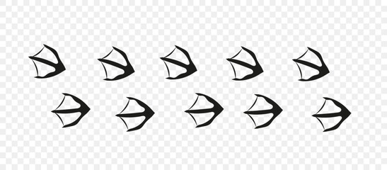 Vector illustration of a trace of a goose or duck on transparent background.