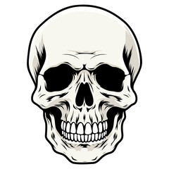Human skull vector illustration. Halloween symbol of death, skeleton head, day of the dead.