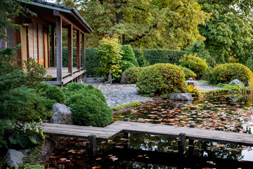 Traditional Japanese tea house with pond with fallen leaves, wooden bridge, garden with picturesque...