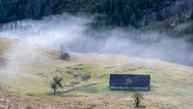 wafts of fog in the mountains of Austria