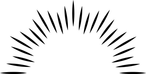 Sunshine rays logo. Black line vintage badge
