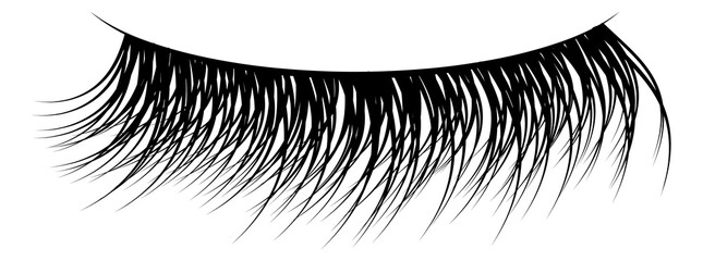 False lashes. Black thin long realistic eyelashes - obrazy, fototapety, plakaty