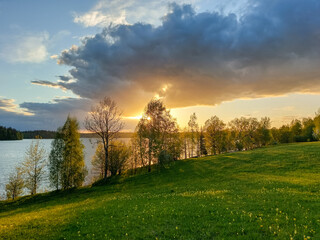 Sunset over the lake. Beautiful clouds in the sky. Trees growing by lakeside in the green meadow