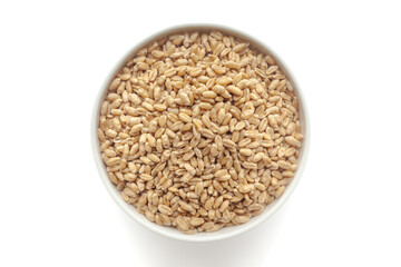Organic  Wheat Grains, (wheat berries) or caryopsis fruits in a white ceramic bowl. Isolated on a white background. Top View