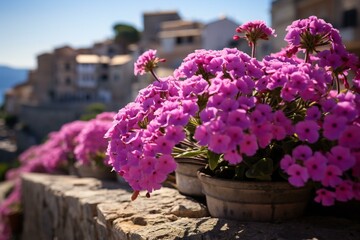 Fototapeta na wymiar Verbenas Vibrant Blossoms in a Mediterranean Escape