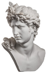 Greek bust of a handsome young man on a transparent background, with a grainy texture, vintage illustration
