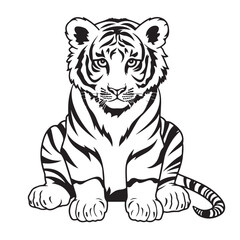 Black and white tiger drawings on a white background