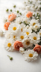 Obraz premium white flowers on a white background