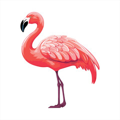 Flamingo Cute Funny Cartoon Kawaii Clipart Colorful Watercolor Animal Pet Sticker Illustration