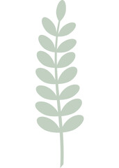 Blatt, Pflanze mit transparentem Hintergrund 