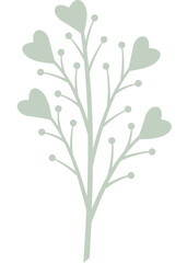 Fototapeta na wymiar Blatt, Pflanze mit transparentem Hintergrund 