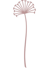 Pusteblume, Blume, Pflanze mit transparentem Hintergrund 