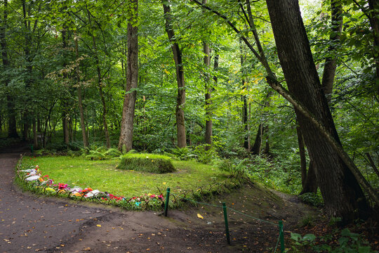 TULA, RUSSIA - September 2, 2023: A grave hill overgrown with grass, the burial place of the writer Leo Tolstoy on the territory of the Yasnaya Polyana museum-estate in the Tula region