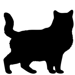 Cat silhouette