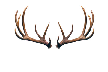 Reindeer horns, deer antlers isolated on white transparent background, PNG. Christmas decoration 