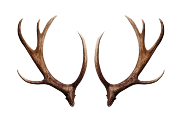 Foto op Aluminium Reindeer horns, deer antlers isolated on white transparent background, PNG. Christmas decoration  © Rawf8